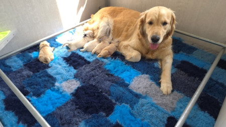 Melantha is een trots moedertje