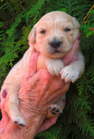 Wat zie ik er lief uit he !!!!!