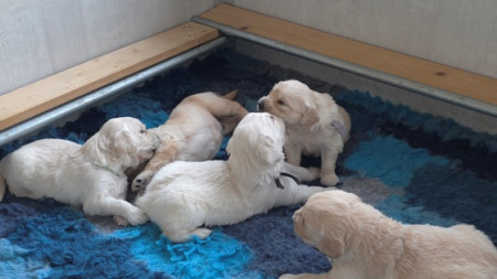 Nu we 3 weekjes oud ziin beginnen wel al lekker  met elkaaar te spelen