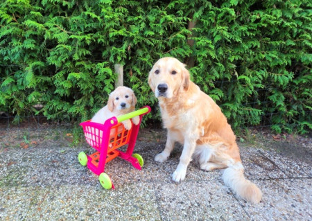 Jippie, ik mag lekker met mama mee boodschappen doen