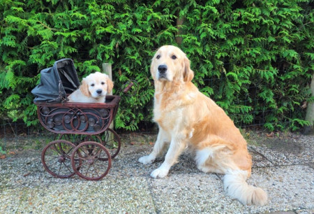 Mama Melantha gaat een stukje wandelen met haar dochtertje 