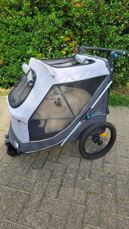Met z'n allen in de wandelwagen op weg naar de dieren arts