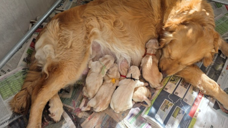 Ningal is op en top een moedertje !!!