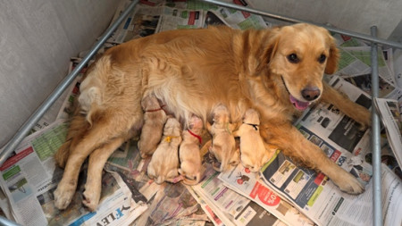 Hoe vertederend blijft dit om te zien