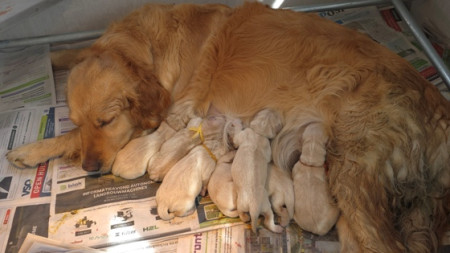 Even uitrusten van ale inspanningen