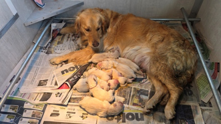 Daar zijn ze dan alle 8