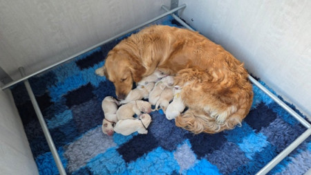 Lekker allemaal schoon