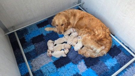 Nu bijkomen en genieten 