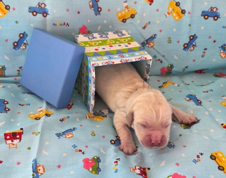 Ons kadootje uitpakken