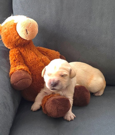 Lekker op schoot bij mijn knuffeltje