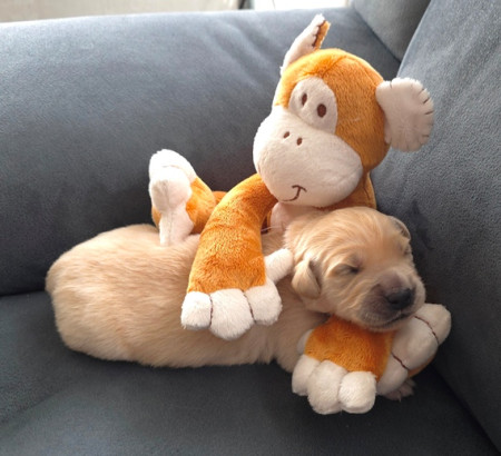 In een innige omarming