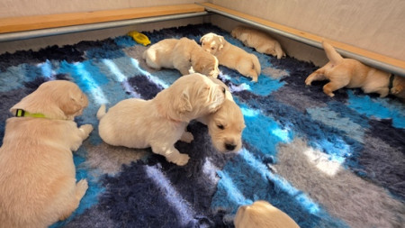 Zo schattig om te zien