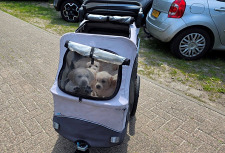Klaar voor het eerste auto ritje