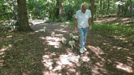 Met de baas aan de wandel