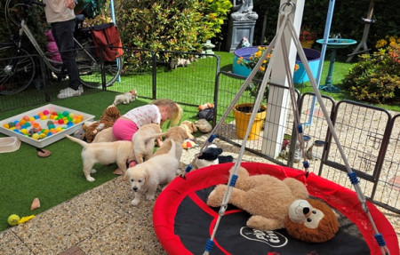 Mijn kleindochter fijn aan het spelen met de pupjes