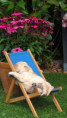/album/fotogalerij-week-2/20250821-155218-0-jpg/