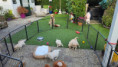 /album/fotogalerij-week-5/20250910-170857-jpg/