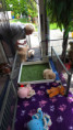 /album/fotogalerij-week-5/20250911-135638-jpg/