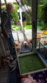 /album/fotogalerij-week-5/20250911-135700-jpg/