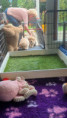 /album/fotogalerij-week-5/20250911-142258-jpg/