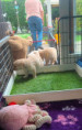 /album/fotogalerij-week-5/20250911-142302-jpg/