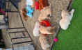 /album/fotogalerij-week-6/20250911-140136-jpg/