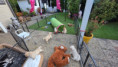 /album/fotogalerij-week-6/20250912-114206-jpg/