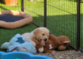 /album/fotogalerij-week-6/20250919-163054-jpg/
