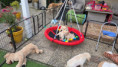 /album/fotogalerij-week-7/20250926-081912-jpg/