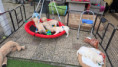 /album/fotogalerij-week-7/20250926-081923-jpg/