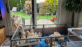 /album/fotogalerij-week-5/20260517-092530-jpg/