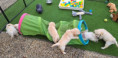 /album/fotogalerij-week-6/20260519-203345-jpg/