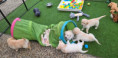 /album/fotogalerij-week-6/20260519-203506-jpg/
