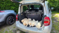 /album/fotogalerij-week-7/20260522-144211-jpg/