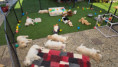 /album/fotogalerij-week-7/20260522-173024-jpg/