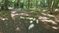 /album/fotogalerij-week-7/20260525-111831-jpg/
