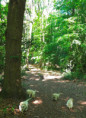 /album/fotogalerij-week-7/20260525-112418-jpg/