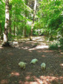 /album/fotogalerij-week-7/20260525-112604-jpg/
