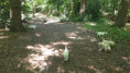/album/fotogalerij-week-7/20260525-112621-jpg/